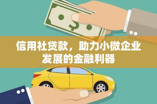 光明新区信用社贷款，助力小微企业发展的金融利器