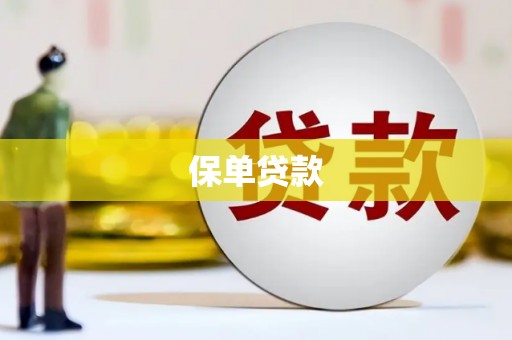 光明新区保单贷款
