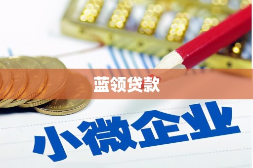 光明新区蓝领贷款