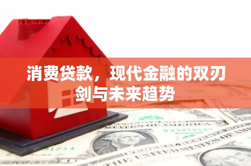 光明新区消费贷款，现代金融的双刃剑与未来趋势