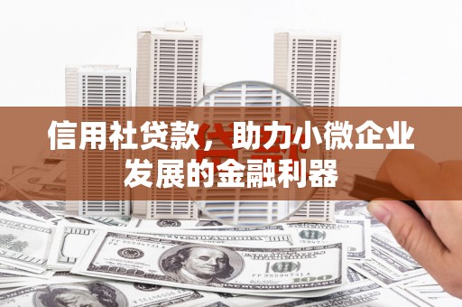 光明新区信用社贷款，助力小微企业发展的金融利器