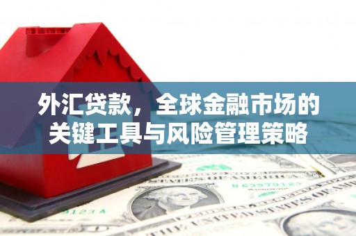 光明新区外汇贷款，全球金融市场的关键工具与风险管理策略
