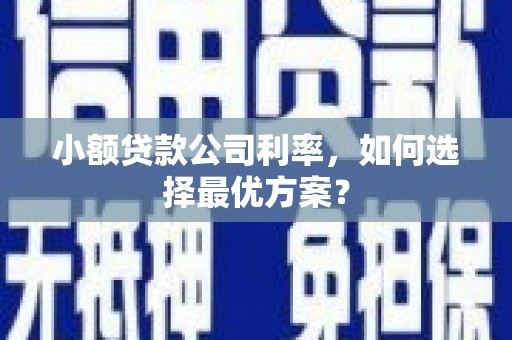光明新区小额贷款公司利率，如何选择最优方案？