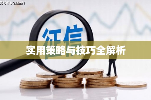光明新区实用策略与技巧全解析