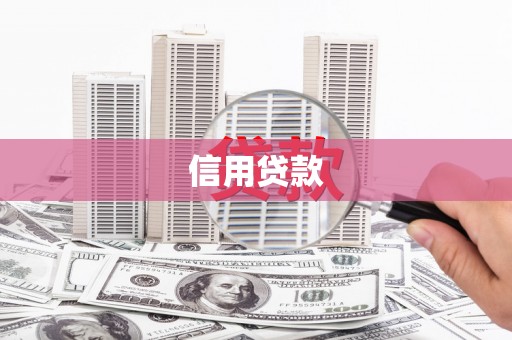 光明新区信用贷款