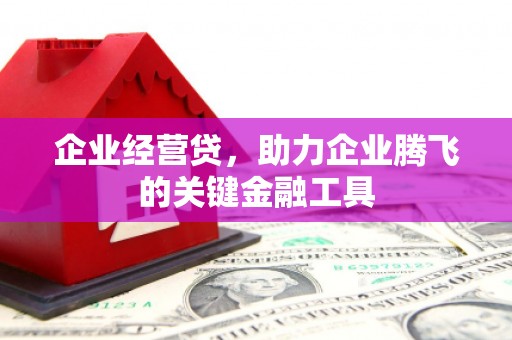 光明新区企业经营贷，助力企业腾飞的关键金融工具