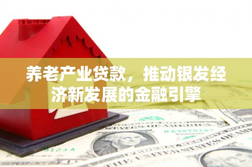 光明新区养老产业贷款，推动银发经济新发展的金融引擎