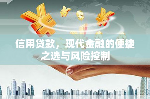 光明新区信用贷款，现代金融的便捷之选与风险控制