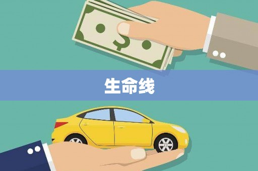 光明新区生命线