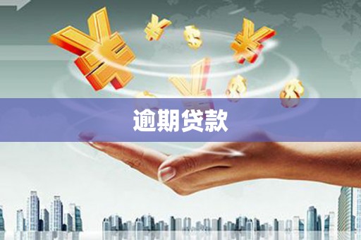 光明新区逾期贷款