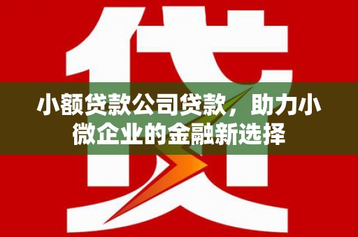 光明新区小额贷款公司贷款，助力小微企业的金融新选择