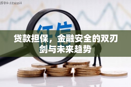 光明新区贷款担保，金融安全的双刃剑与未来趋势