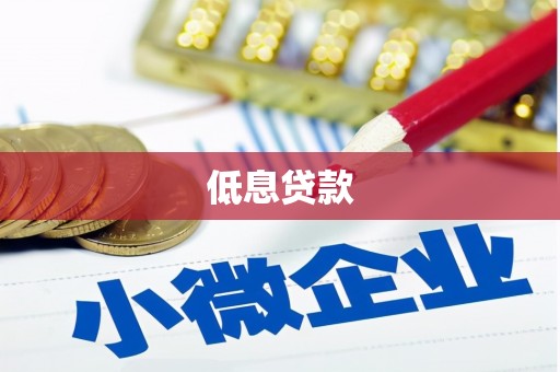 光明新区低息贷款