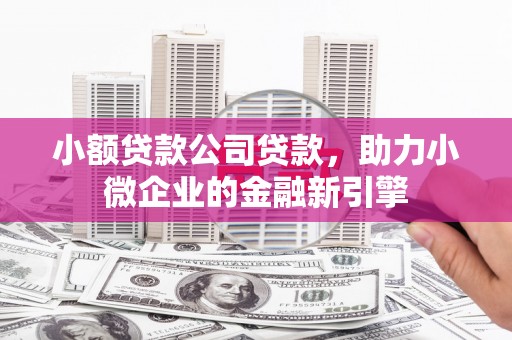光明新区小额贷款公司贷款，助力小微企业的金融新引擎