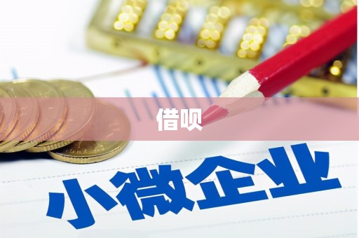 光明新区借呗