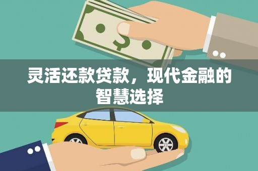 光明新区灵活还款贷款，现代金融的智慧选择