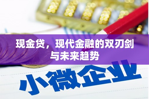 光明新区现金贷，现代金融的双刃剑与未来趋势