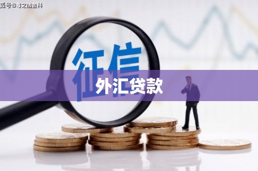 光明新区外汇贷款