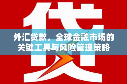 光明新区外汇贷款，全球金融市场的关键工具与风险管理策略
