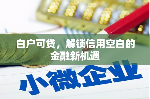 光明新区白户可贷，解锁信用空白的金融新机遇