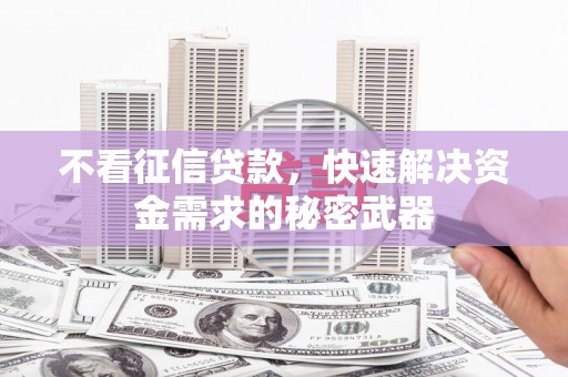 光明新区不看征信贷款，快速解决资金需求的秘密武器