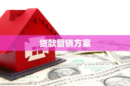 光明新区贷款营销方案