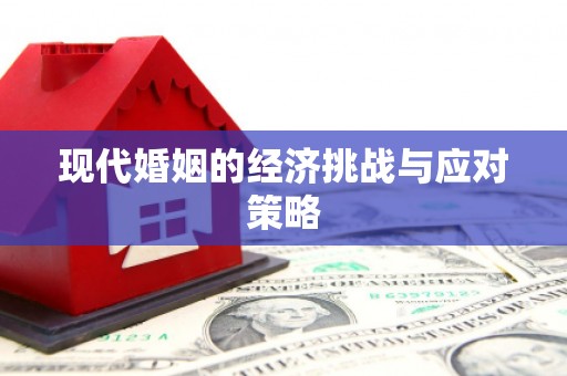 光明新区现代婚姻的经济挑战与应对策略