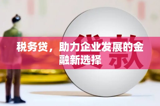 光明新区税务贷，助力企业发展的金融新选择