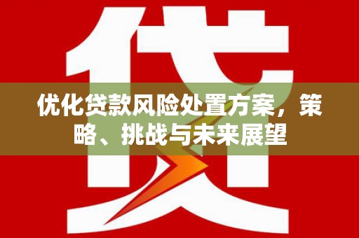 光明新区优化贷款风险处置方案，策略、挑战与未来展望