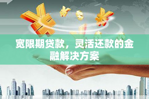 光明新区宽限期贷款，灵活还款的金融解决方案