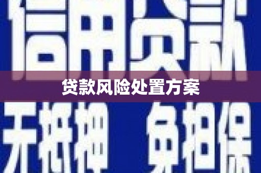 光明新区贷款风险处置方案