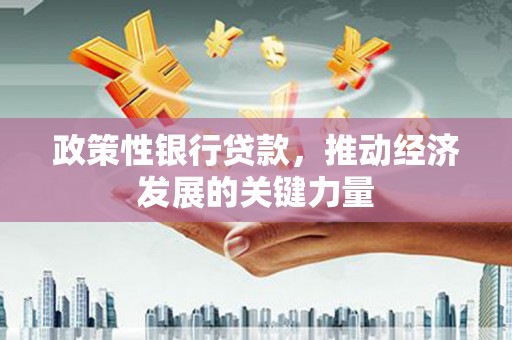 光明新区政策性银行贷款，推动经济发展的关键力量