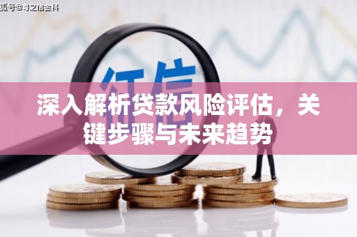 光明新区深入解析贷款风险评估，关键步骤与未来趋势