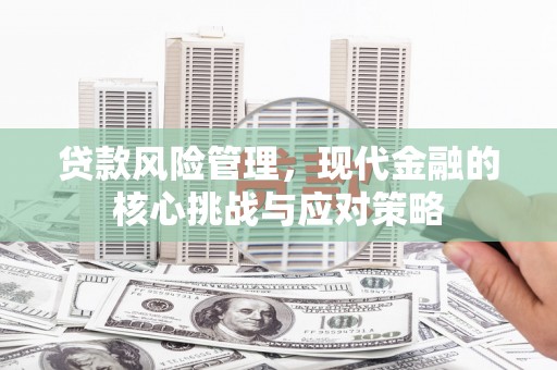 光明新区贷款风险管理，现代金融的核心挑战与应对策略
