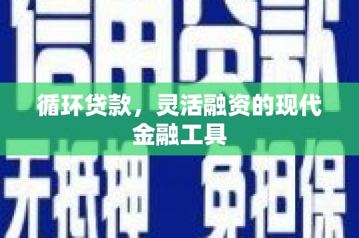光明新区循环贷款，灵活融资的现代金融工具