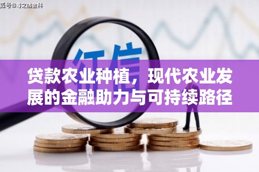 光明新区贷款农业种植，现代农业发展的金融助力与可持续路径