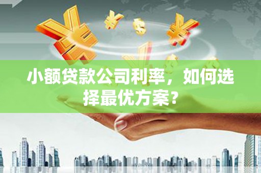 光明新区小额贷款公司利率，如何选择最优方案？