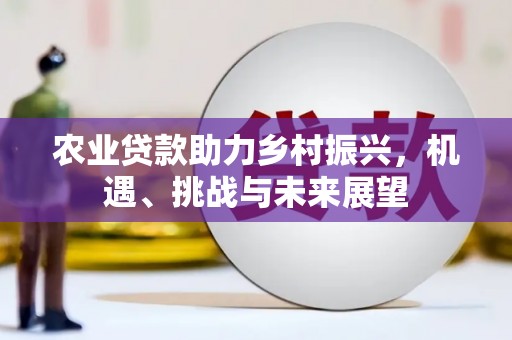 光明新区农业贷款助力乡村振兴，机遇、挑战与未来展望