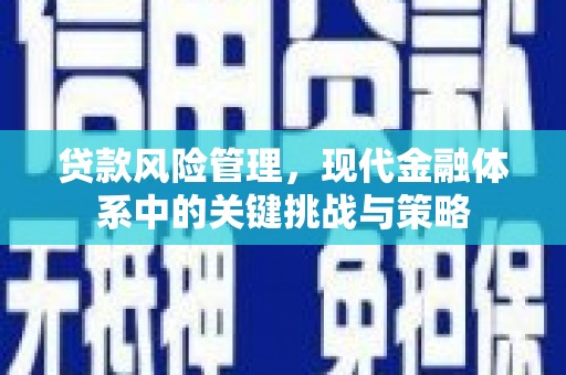 光明新区贷款风险管理，现代金融体系中的关键挑战与策略