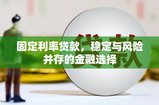 光明新区固定利率贷款，稳定与风险并存的金融选择