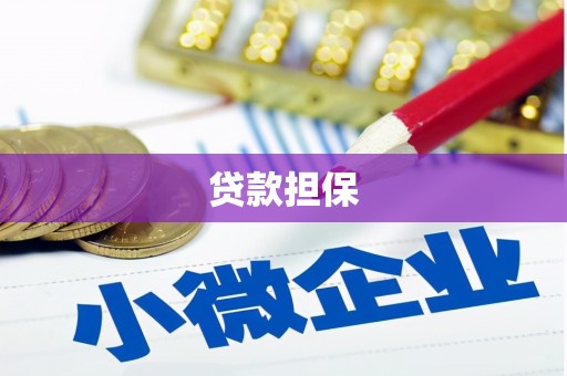 光明新区贷款担保
