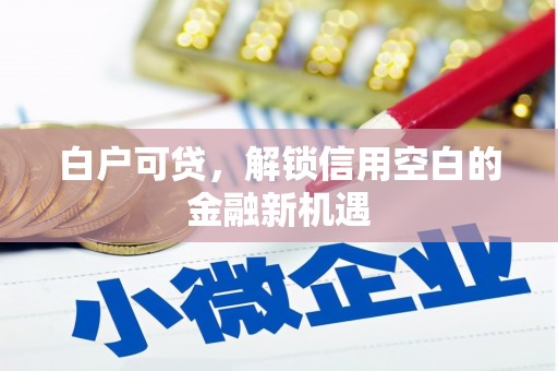光明新区白户可贷，解锁信用空白的金融新机遇