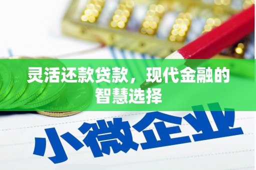 光明新区灵活还款贷款，现代金融的智慧选择