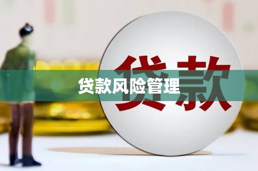 光明新区贷款风险管理