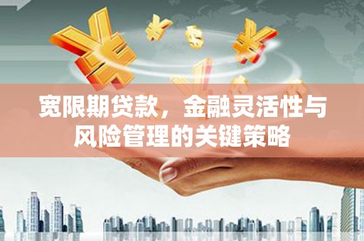光明新区宽限期贷款，金融灵活性与风险管理的关键策略