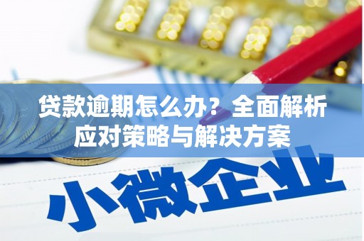 光明新区贷款逾期怎么办？全面解析应对策略与解决方案