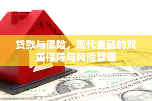 光明新区贷款与保险，现代金融的双重保障与风险管理