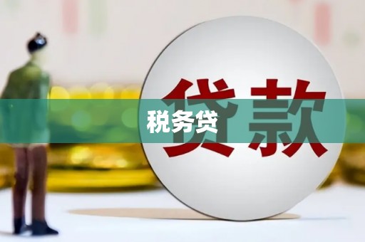 光明新区税务贷