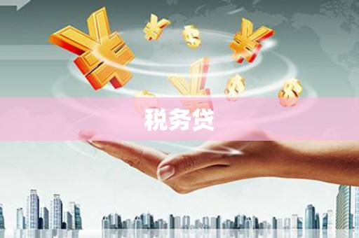 光明新区税务贷