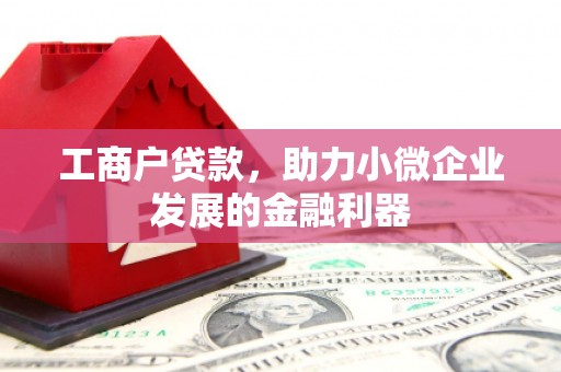 光明新区工商户贷款，助力小微企业发展的金融利器